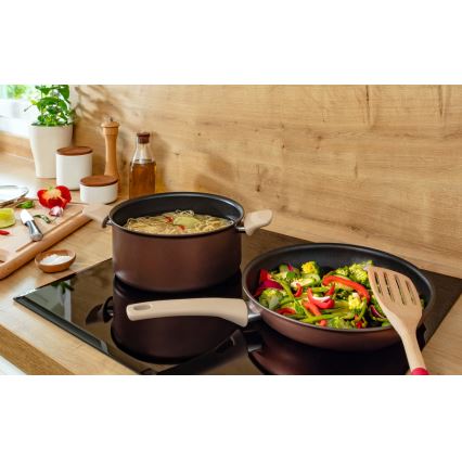 Tefal - Kochtopf mit Deckel RESPECT Ø 24 cm