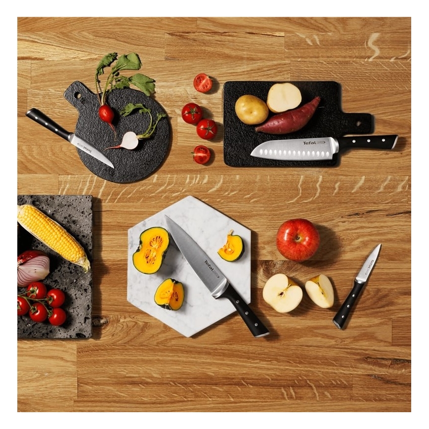 Tefal - Küchenmesser-Set im Block ICE FORCE 6 Stk.