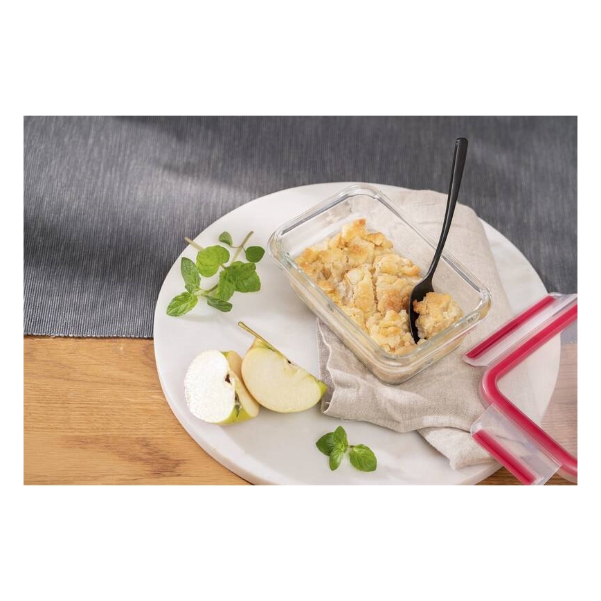 Tefal - Lebensmittelbehälter 0,45 l MSEAL GLASS rot/Glas