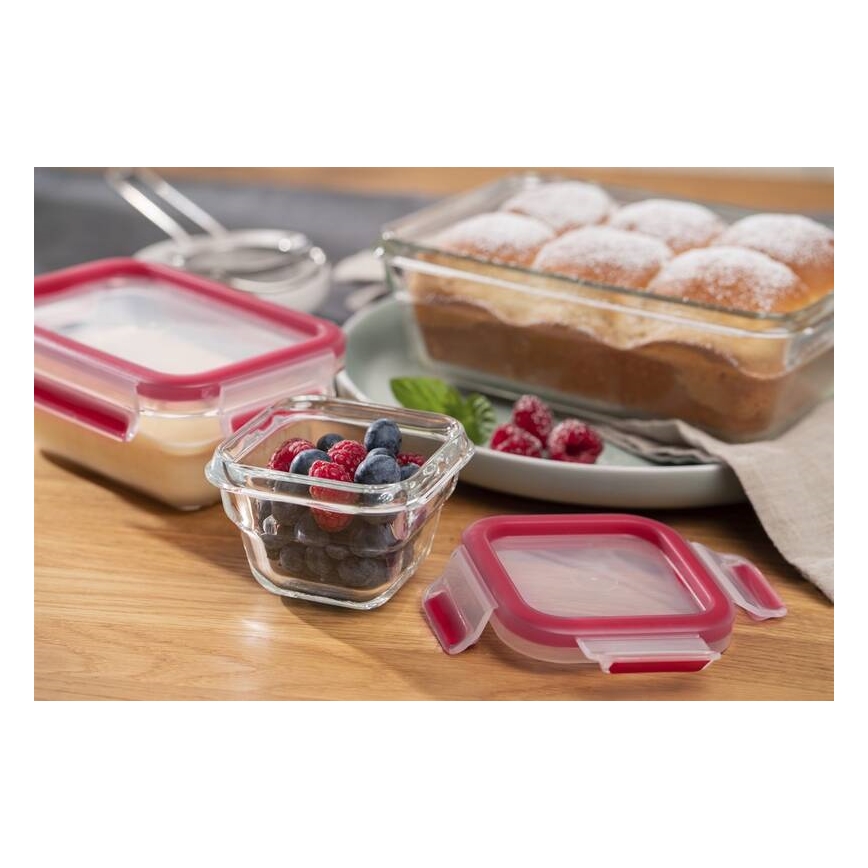Tefal - Lebensmittelbehälter 0,45 l MSEAL GLASS rot/Glas