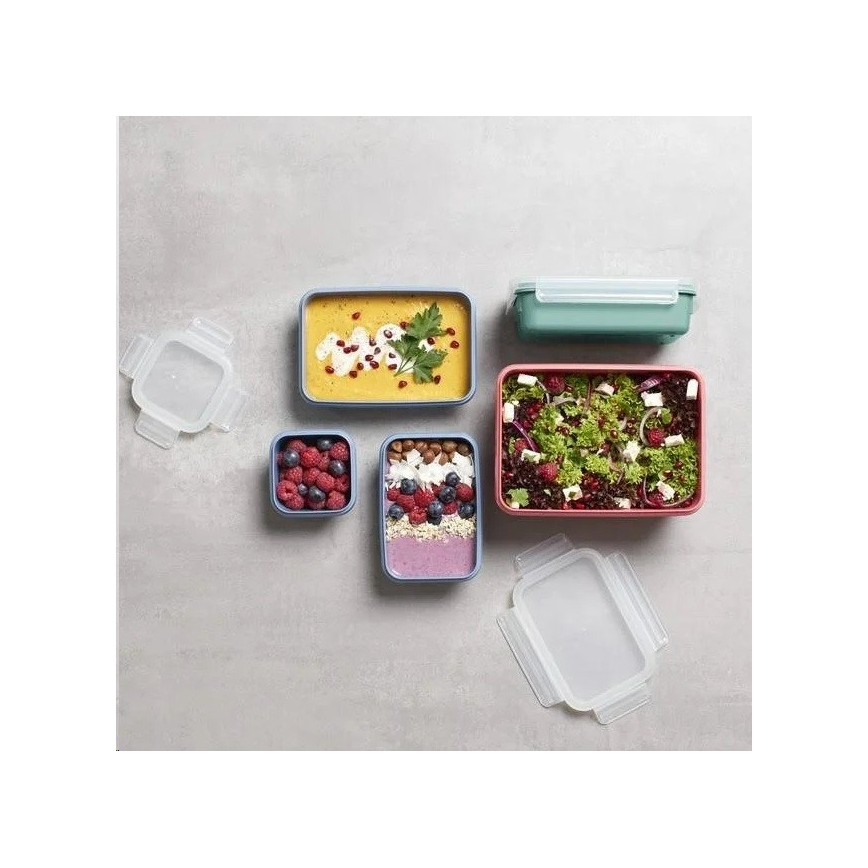 Tefal - Lebensmittelbehälter 0,55 l MSEAL COLOR rosa