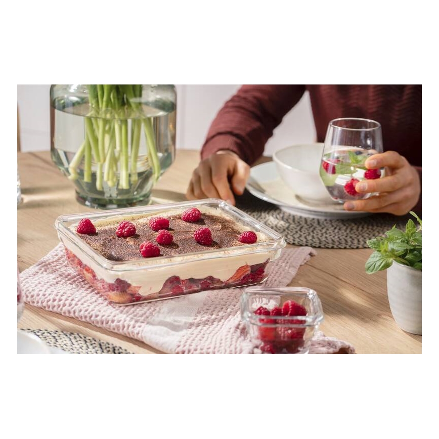 Tefal - Lebensmittelbehälter 3 l MSEAL GLASS rot/Glas