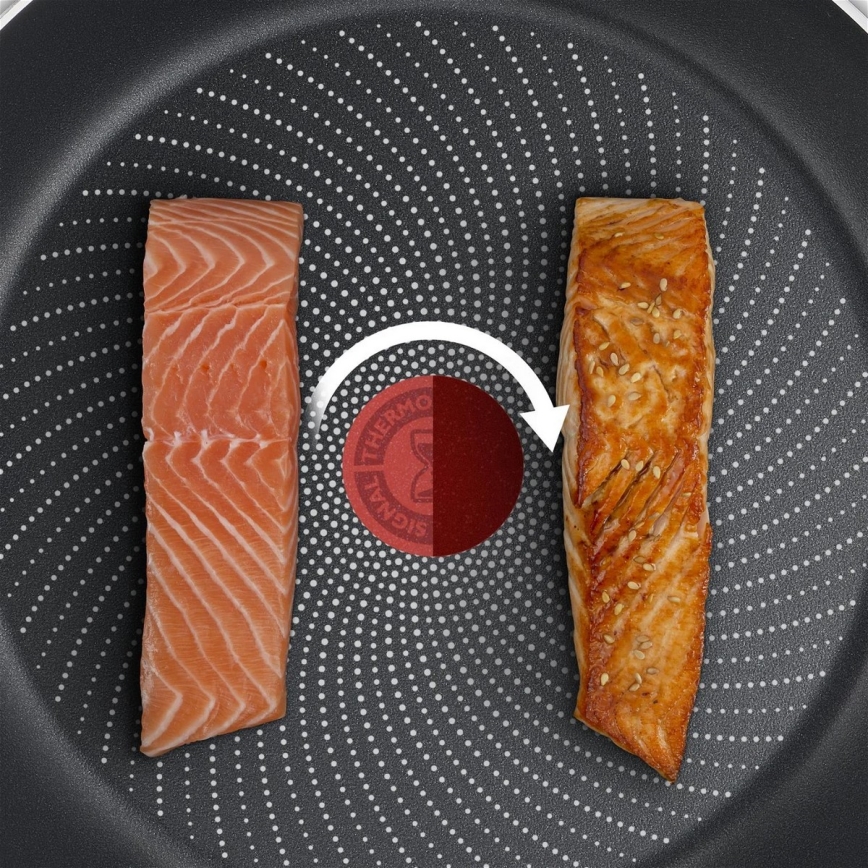 Tefal - Pfanne DELICIOUS 20 cm