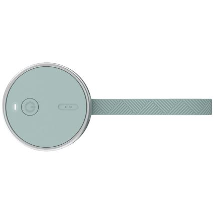 Tefal - Smoothie-Mixer BLENDFORCE 50W/5V 1200 mAh Minze