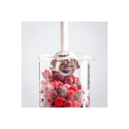 Tefal - Stabmixer QUICKCHEF 1000W/230V schwarz