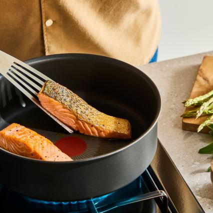 Tefal - Stieltopf INGENIO Excellence Fusion 20 cm