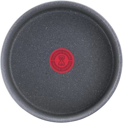 Tefal - Stieltopf INGENIO NATURAL FORCE 20 cm