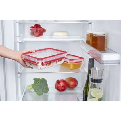 Tefal - Vorratsdose 0,85 l MSEAL GLASS rot/Glas