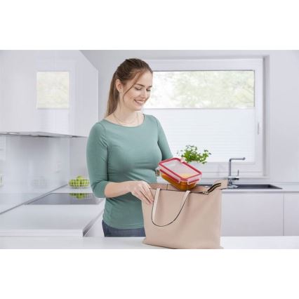 Tefal - Vorratsdose 0,85 l MSEAL GLASS rot/Glas