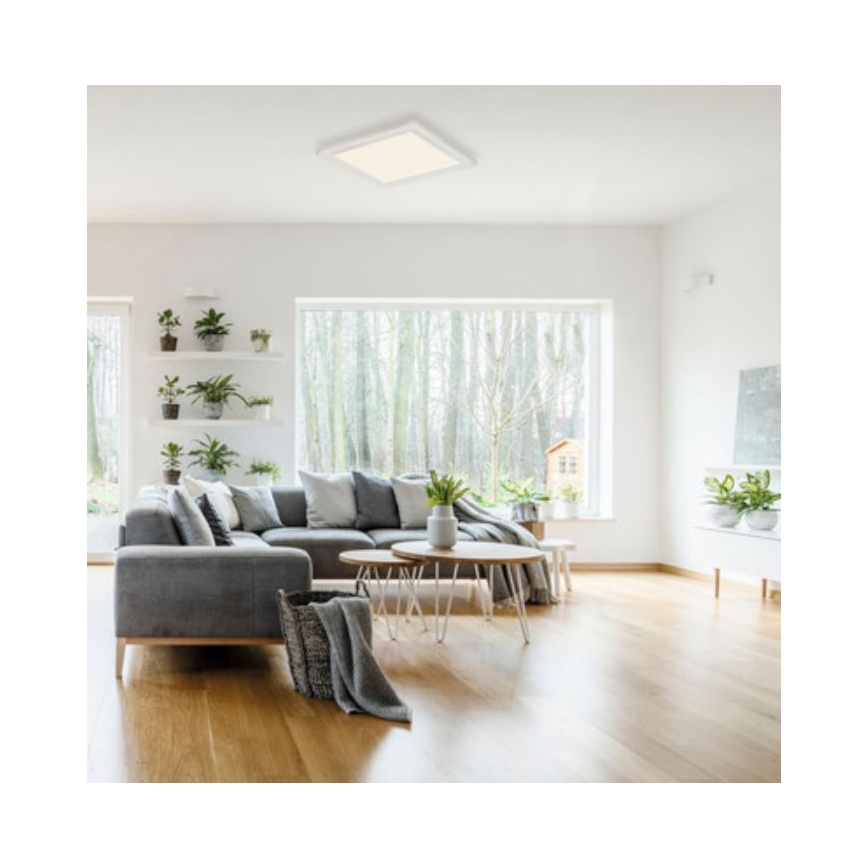 Telefunken 308606TF - Oberflächenmontierbares LED-Panel mit Sensor LED/13W/230V