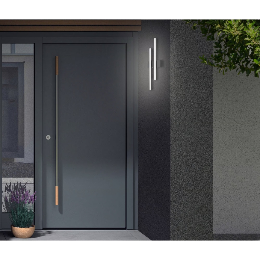 Telefunken - LED-Außenwandleuchte 2xLED/4W/230V IP44 schwarz