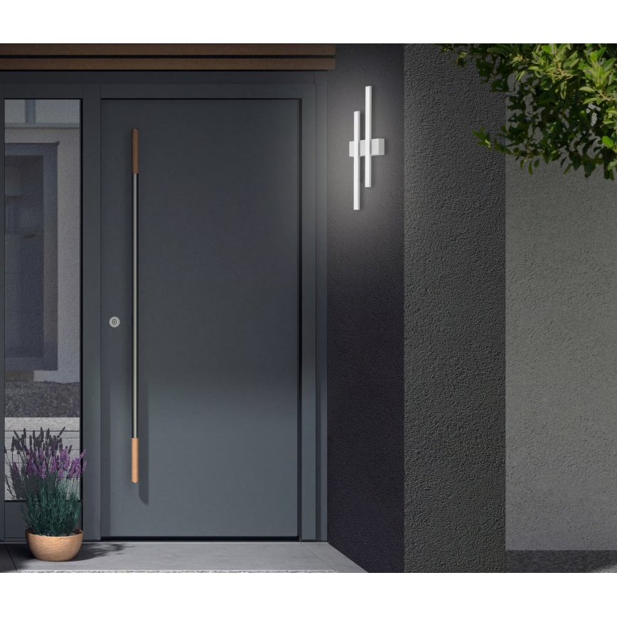 Telefunken - LED Außenwandleuchte 2xLED/4W/230V IP44 silber