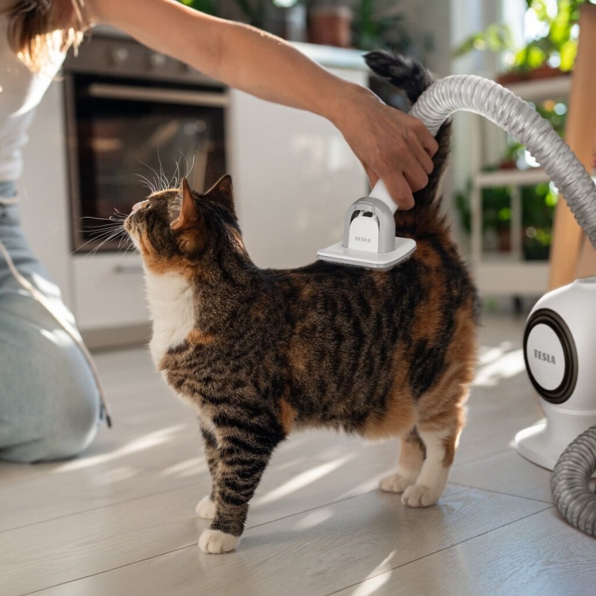 TESLA Electronics PetCare - Pflegeset für Haustiere 300W/230V