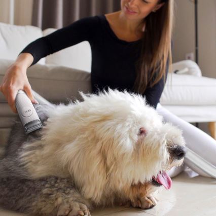 TESLA Electronics PetCare - Pflegeset für Haustiere 300W/230V