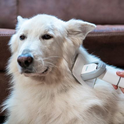 TESLA Electronics PetCare - Pflegeset für Haustiere 300W/230V