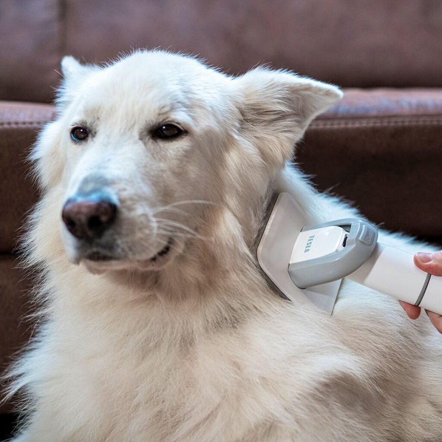 TESLA Electronics PetCare - Pflegeset für Haustiere 300W/230V