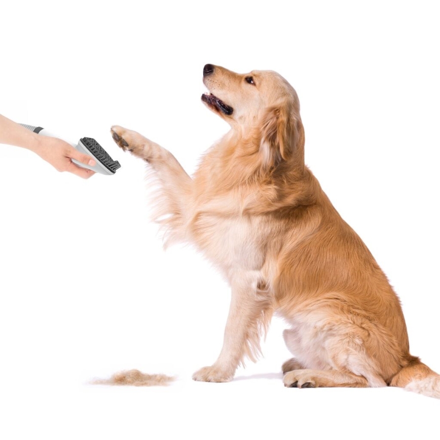 TESLA Electronics PetCare - Pflegeset für Haustiere 300W/230V