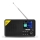 TESLA Electronics - Radio DAB + FM 5W/1800 mAh schwarz