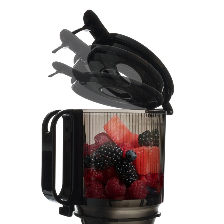 TESLA Electronics SlowJuicer Deluxe - Slow Juicer 250W/230V Edelstahl/schwarz