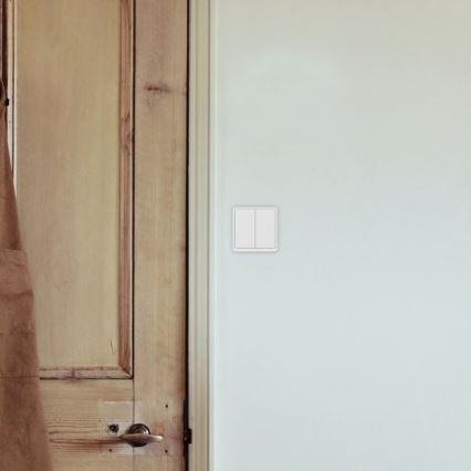 TESLA Smart - Intelligenter Haus-Schalter 2P 230V Wi-Fi