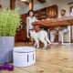 TESLA Smart - Smart-Brunnen für Haustiere mit UV-Sterilisation 2 l 5V Wi-Fi