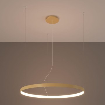 Thoro TH.174 - LED-Hängeleuchte RIO LED/50W/230V CRI 90 3000K d 78 cm golden
