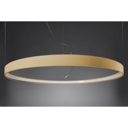 Thoro TH.217 - LED-Hängeleuchte RIO LED/30W/230V CRI 95 4000K d 55 cm golden