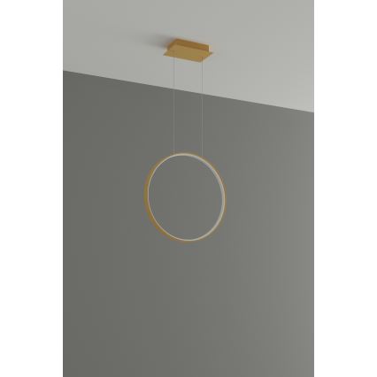 Thoro TH.221 - LED-Hängeleuchte RIO LED/30W/230V CRI 95 4000K d 55 cm golden