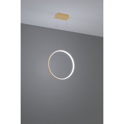 Thoro TH.221 - LED-Hängeleuchte RIO LED/30W/230V CRI 95 4000K d 55 cm golden