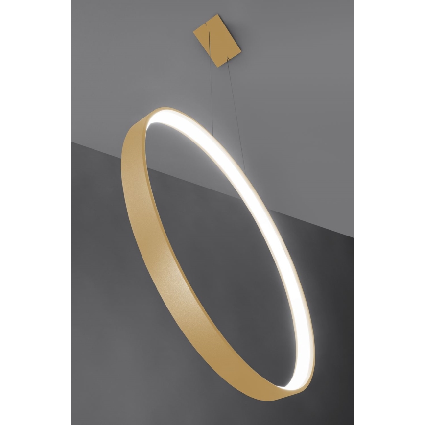 Thoro TH.221 - LED-Hängeleuchte RIO LED/30W/230V CRI 95 4000K d 55 cm golden