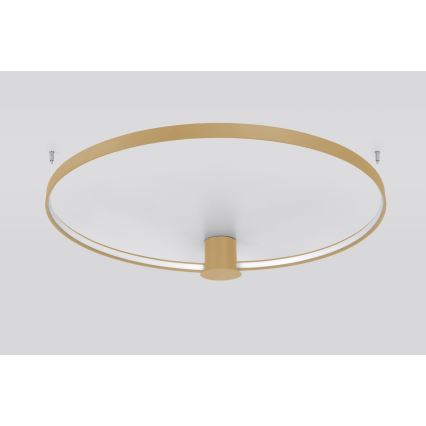 Thoro TH.224 - LED-Deckenleuchte RIO LED/50W/230V CRI 90 3000K d 78 cm golden