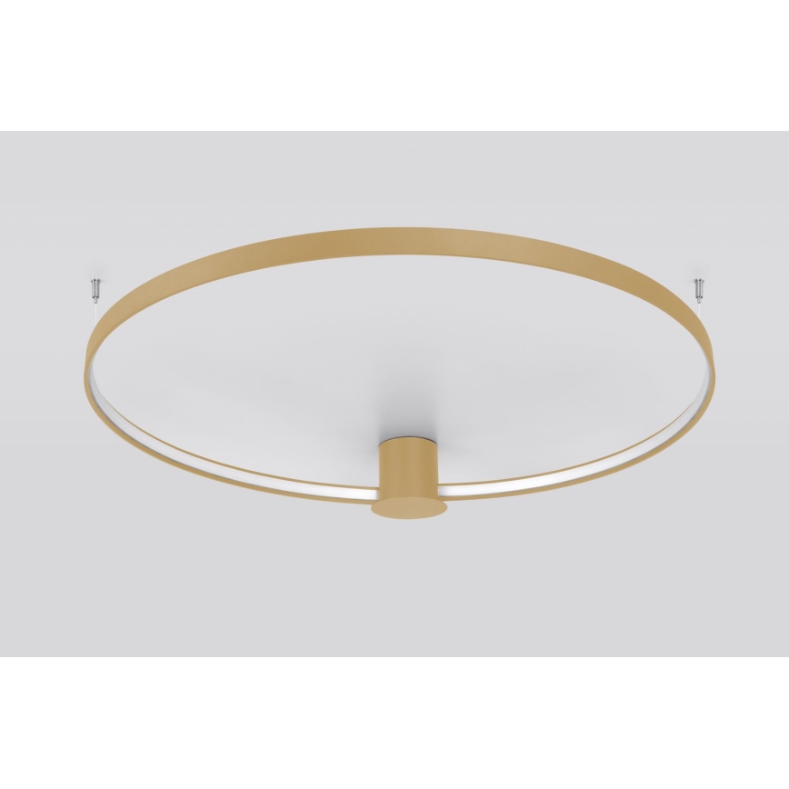 Thoro TH.224 - LED-Deckenleuchte RIO LED/50W/230V CRI 90 3000K d 78 cm golden