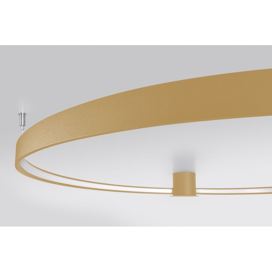 Thoro TH.224 - LED-Deckenleuchte RIO LED/50W/230V CRI 90 3000K d 78 cm golden