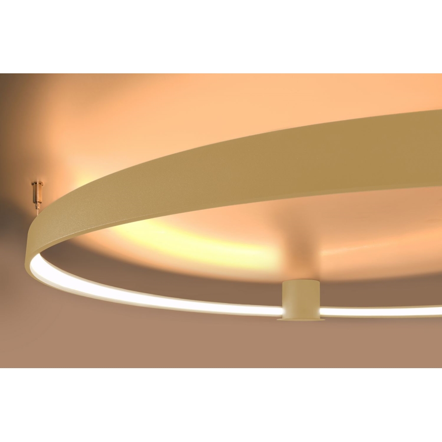 Thoro TH.224 - LED-Deckenleuchte RIO LED/50W/230V CRI 90 3000K d 78 cm golden
