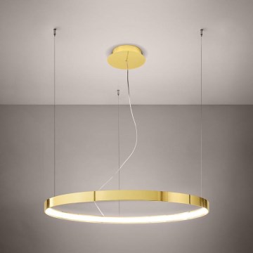 Thoro TH.246 - LED-Hängeleuchte RIO LED/50W/230V CRI 90 3000K d 78 cm golden