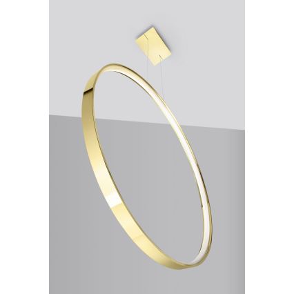 Thoro TH.248 - LED-Hängeleuchte RIO LED/50W/230V CRI 90 3000K d 78 cm golden