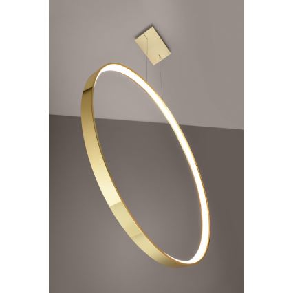 Thoro TH.248 - LED-Hängeleuchte RIO LED/50W/230V CRI 90 3000K d 78 cm golden