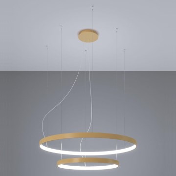 Thoro TH.268 - LED-Hängeleuchte an Seil RIO LED/80W/230V CRI 95 4000K goldfarben