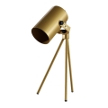 Tischlampe TUBA 1xE27/24W/230V gold
