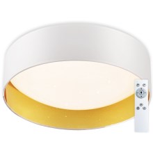 Top Light - Dimmbare LED-Deckenleuchte IVONA 40B + Fernbedienung LED/24W/230V + Fernbedienung weiß