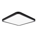 Top Light - Dimmbare LED-Deckenleuchte REVIT LED/36W/230V 3000-6500K 40x40 cm schwarz + Fernbedienung