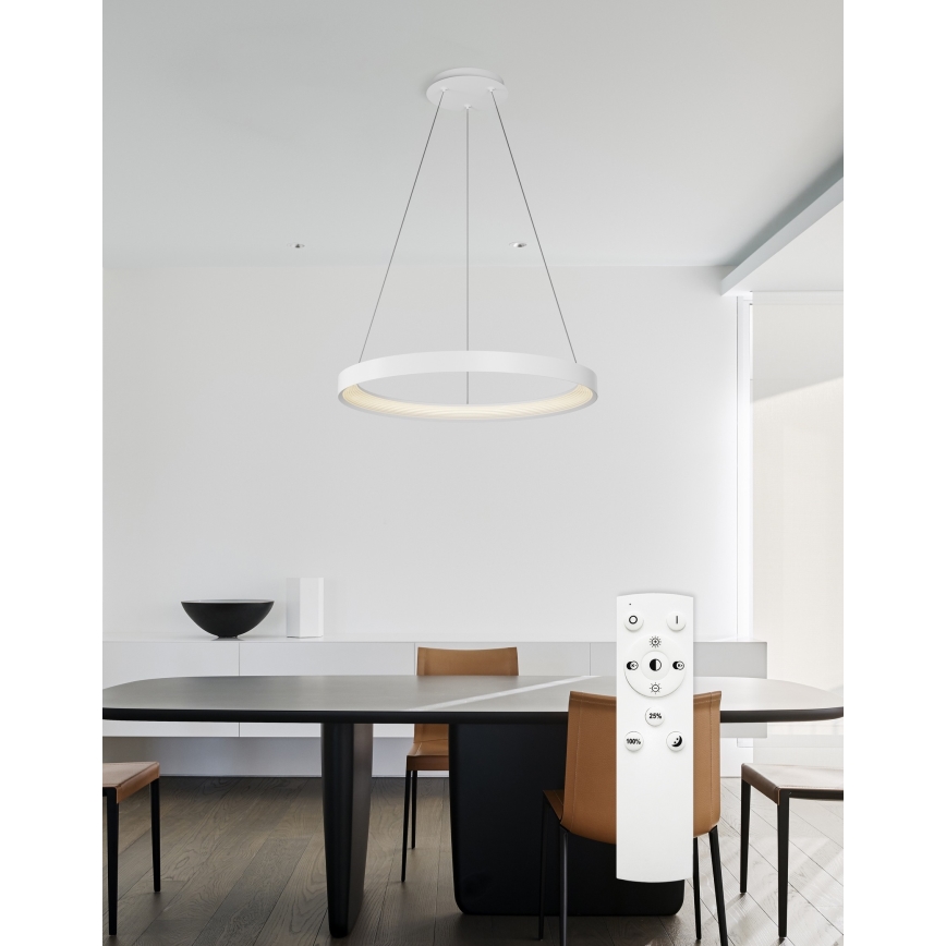 Top Light - LED dimmbare Pendelleuchte an Seil ORBIT LED/40W/230V 3000-6500K Ø 50 cm weiß + Fernbedienung