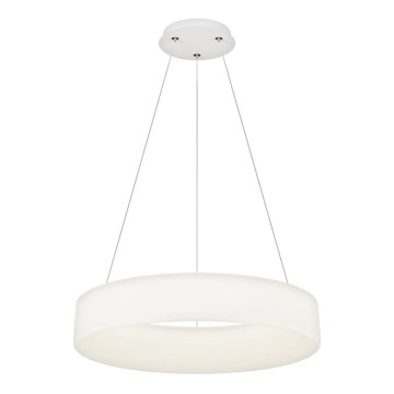 Top Light - LED-dimmbare Pendelleuchte an Stahlseil HALO LED/60W/230V 3000-6500K Ø 60 cm + Fernbedienung