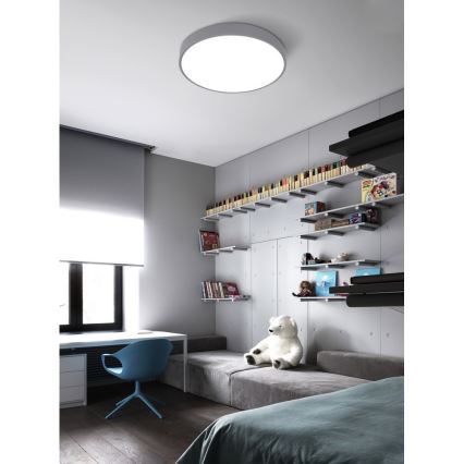 Top Light Metal 40S RC - LED dimmbare Deckenleuchte LED/51W/230V grau + Fernbedienung