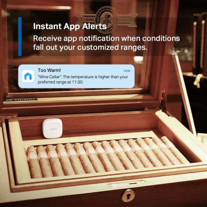 TP-Link - Intelligenter Sensor zur präzisen Messung von Temperatur und Luftfeuchtigkeit, 1×CR2450, Wi‑Fi