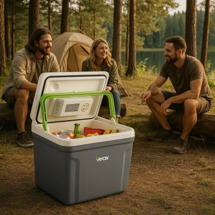 Tragbare Auto-Kühlbox mit Heizfunktion 27 l 230V/12V/24V grau