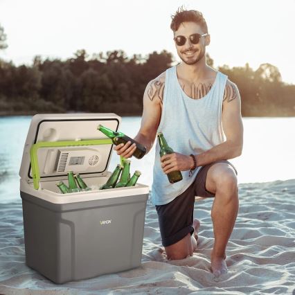 Tragbare Auto-Kühlbox mit Heizfunktion 27 l 230V/12V/24V grau