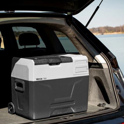 Tragbare Auto-Kühlbox mit LCD-Anzeige 40 l 230V/12V/24V schwarz