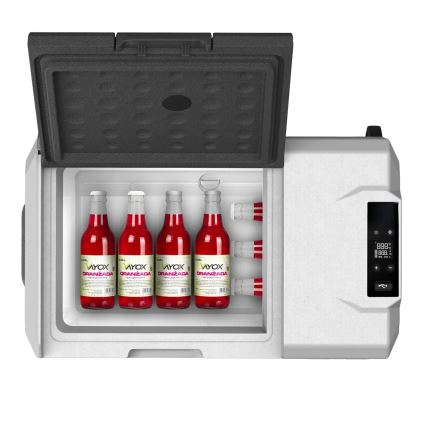 Tragbare Auto-Kühlbox mit LCD-Anzeige 40 l 230V/12V/24V schwarz