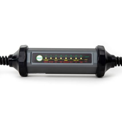 Tragbares Ladegerät für Elektrofahrzeuge mit 4 Type-2-Adaptern 32A/480V 22kW 5m IP67